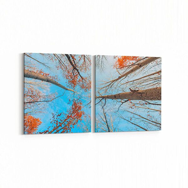 olla.market Kanvas Tablo