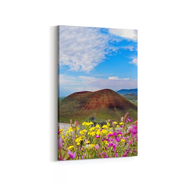 olla.market Kanvas Tablo