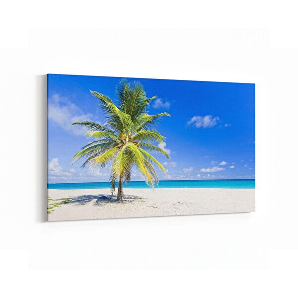 olla.market Kanvas Tablo