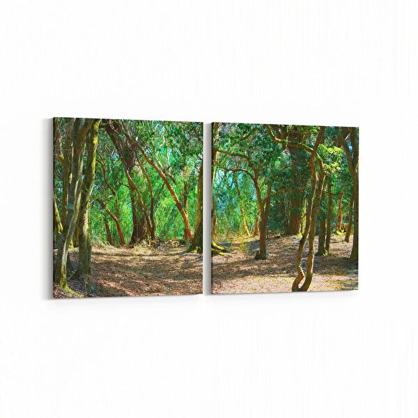 olla.market Kanvas Tablo