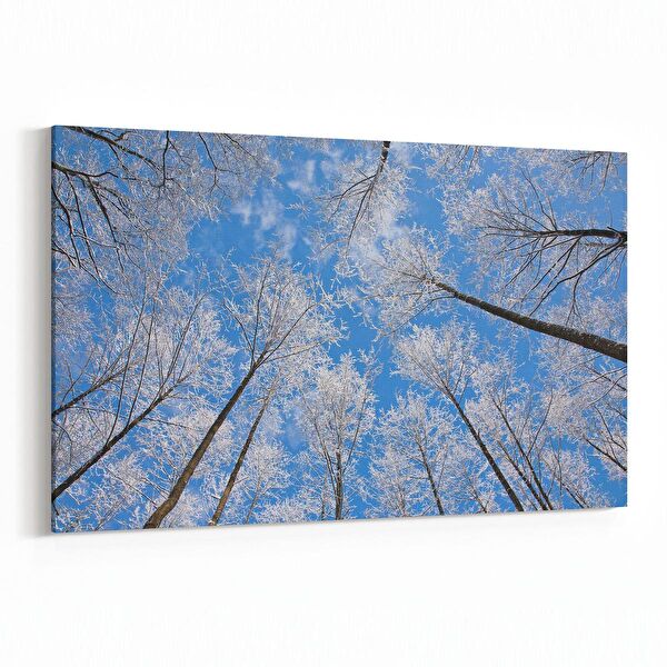 olla.market Kanvas Tablo