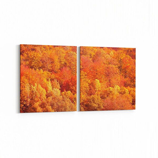 olla.market Kanvas Tablo