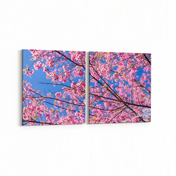 olla.market Kanvas Tablo