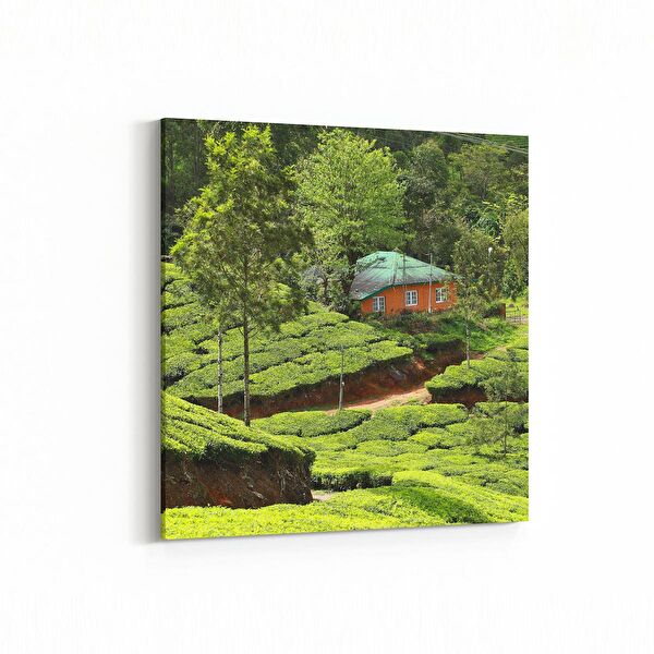 olla.market Kanvas Tablo