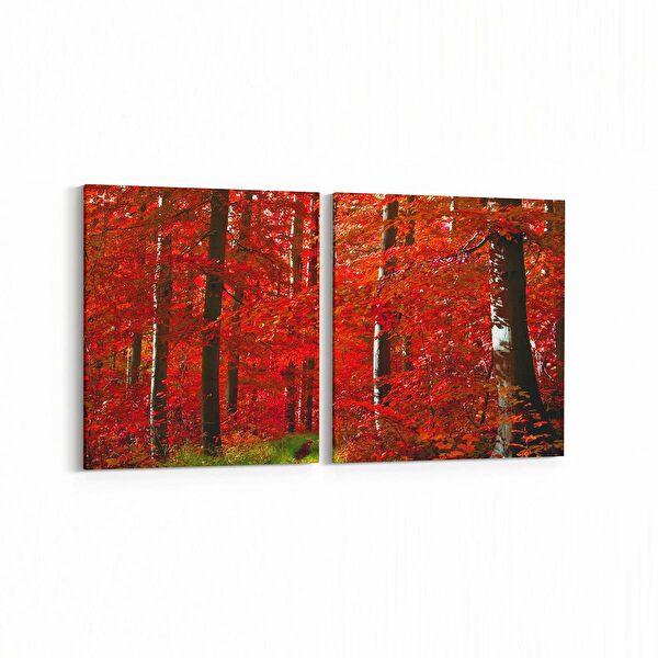 olla.market Kanvas Tablo