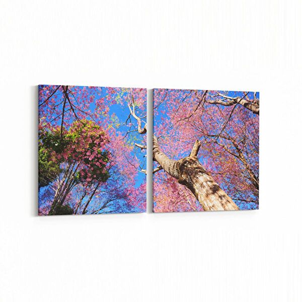 olla.market Kanvas Tablo