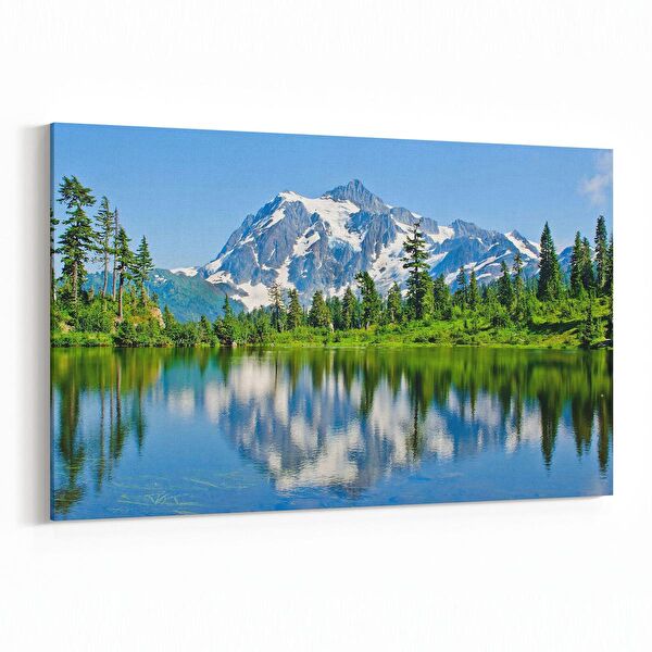 olla.market Kanvas Tablo