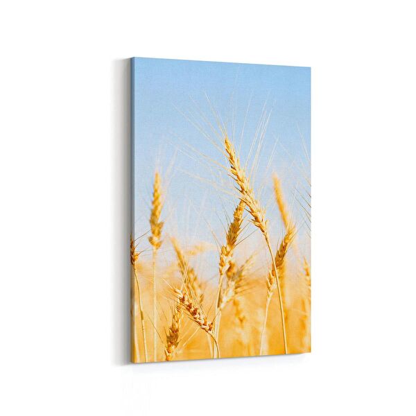 olla.market Kanvas Tablo