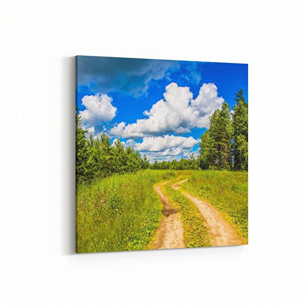 olla.market Kanvas Tablo