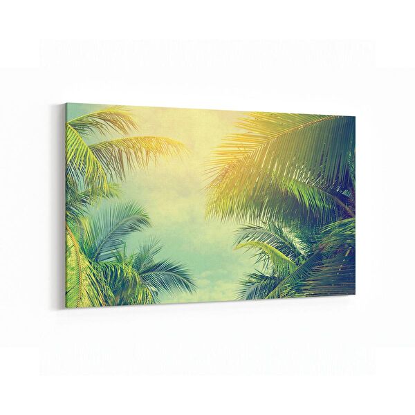 olla.market Kanvas Tablo