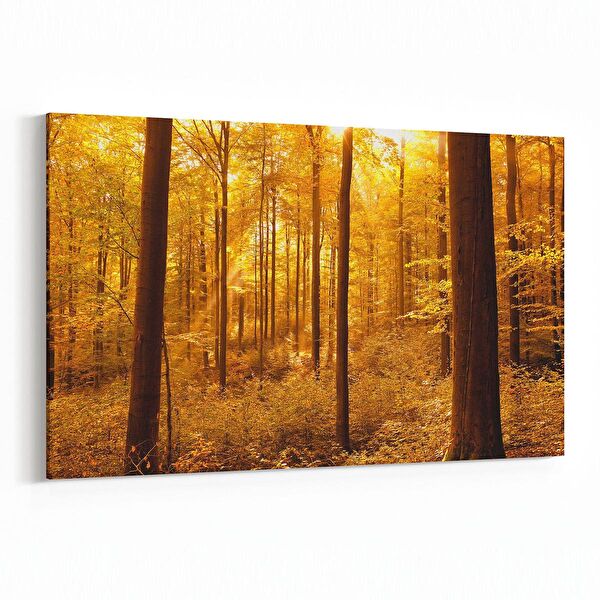 olla.market Kanvas Tablo