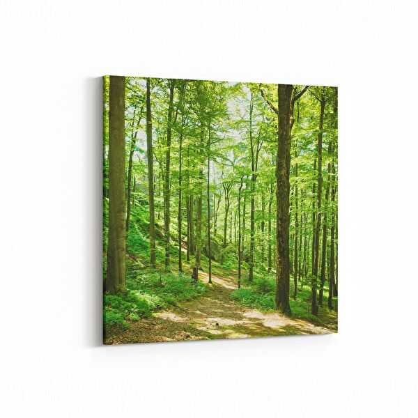 olla.market Kanvas Tablo