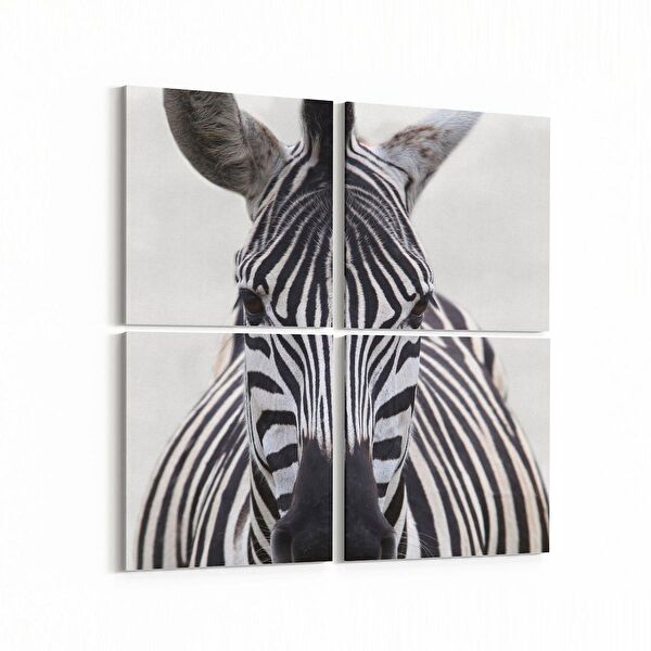 olla.market Kanvas Tablo