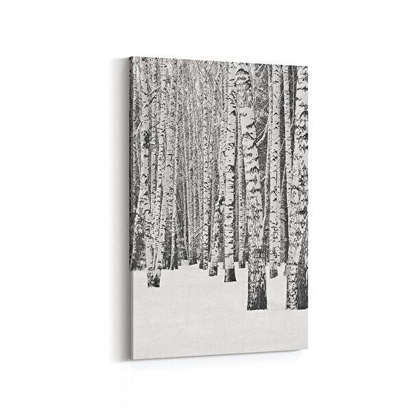 olla.market Kanvas Tablo