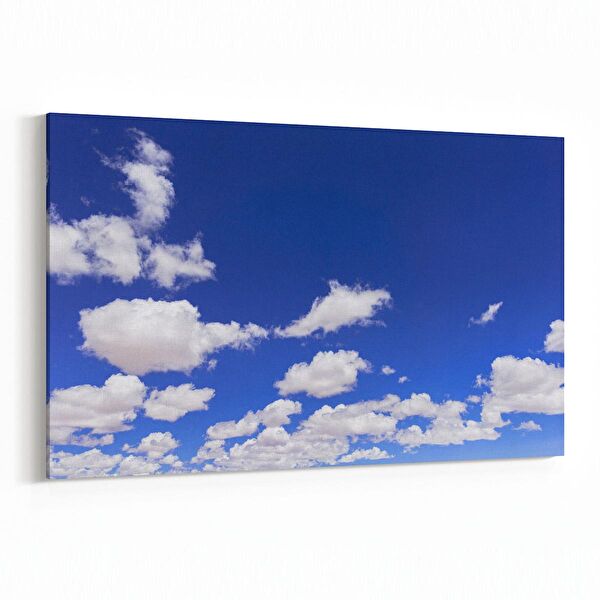 olla.market Kanvas Tablo