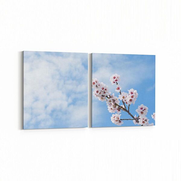 olla.market Kanvas Tablo