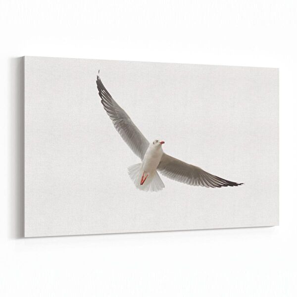 olla.market Kanvas Tablo