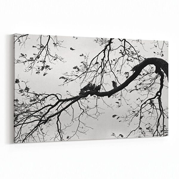 olla.market Kanvas Tablo