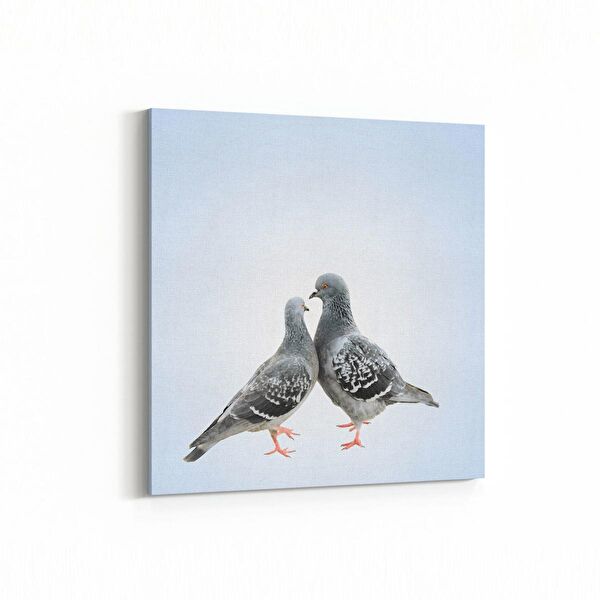 olla.market Kanvas Tablo