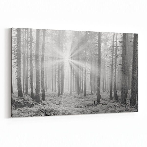 olla.market Kanvas Tablo