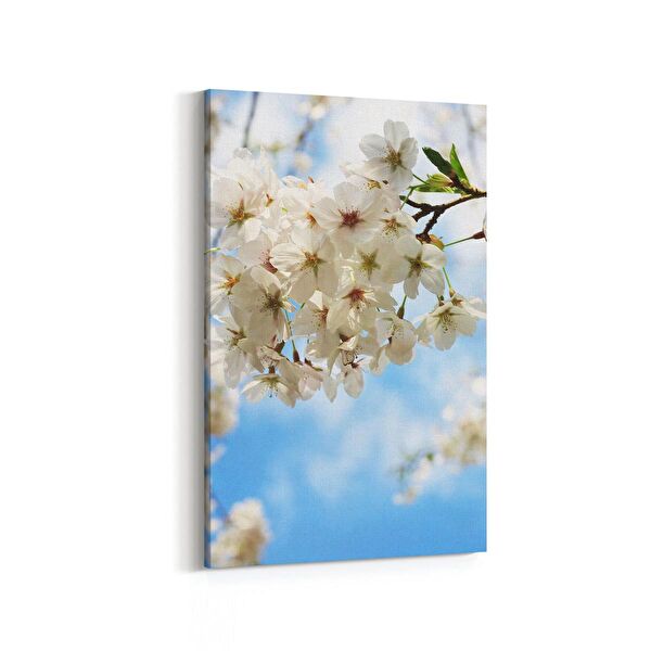 olla.market Kanvas Tablo