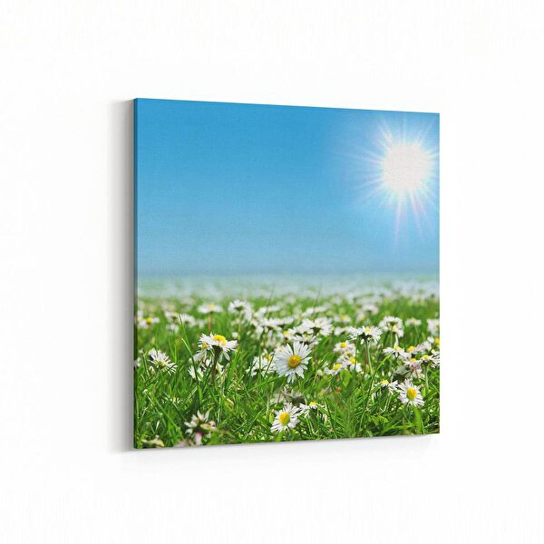 olla.market Kanvas Tablo