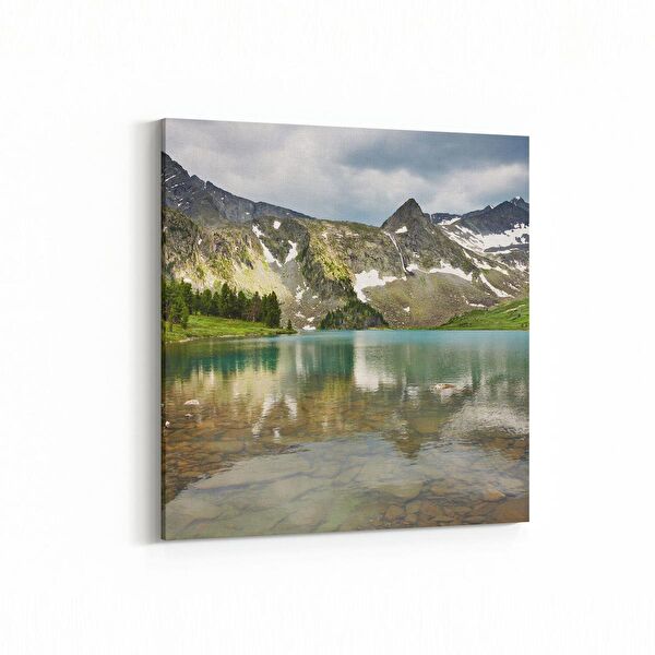 olla.market Kanvas Tablo