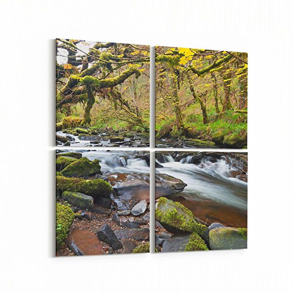 olla.market Kanvas Tablo