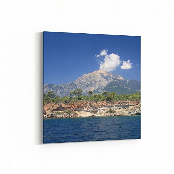 olla.market Kanvas Tablo