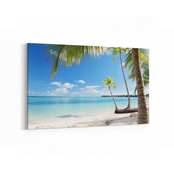 olla.market Kanvas Tablo