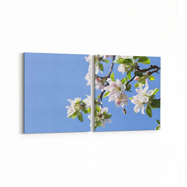 olla.market Kanvas Tablo