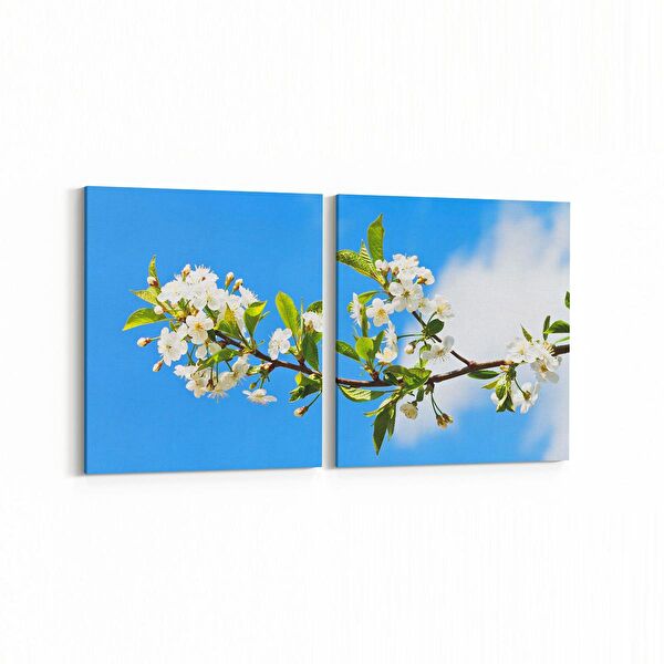 olla.market Kanvas Tablo