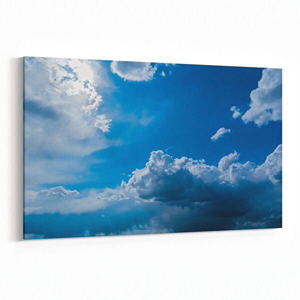 olla.market Kanvas Tablo