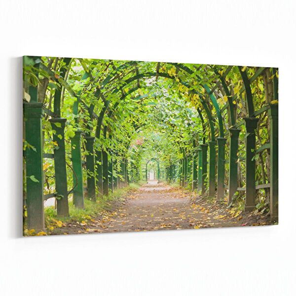 olla.market Kanvas Tablo