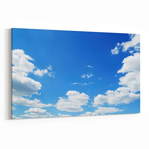 olla.market Kanvas Tablo