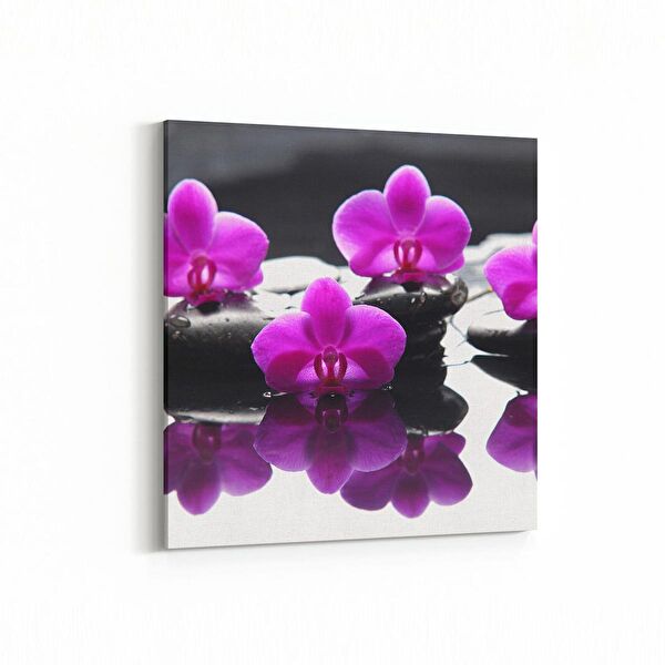 olla.market Kanvas Tablo