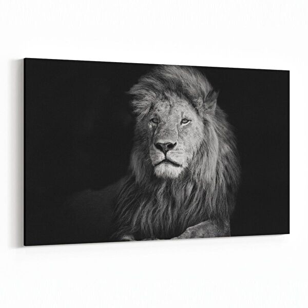 olla.market Kanvas Tablo