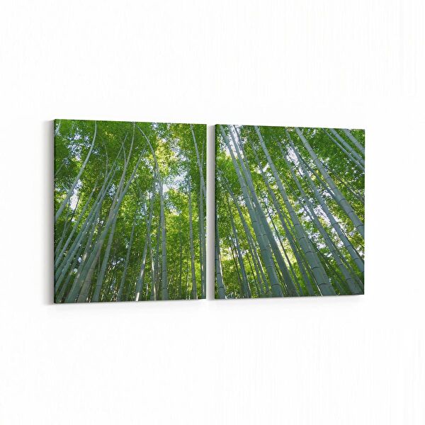 olla.market Kanvas Tablo