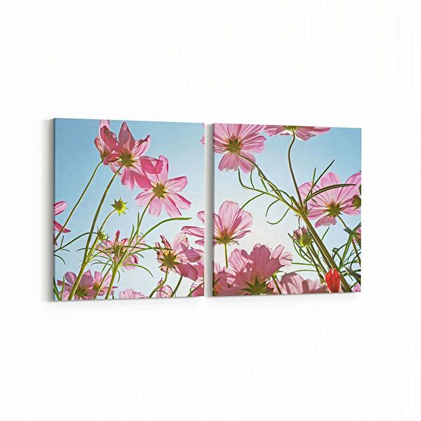 olla.market Kanvas Tablo