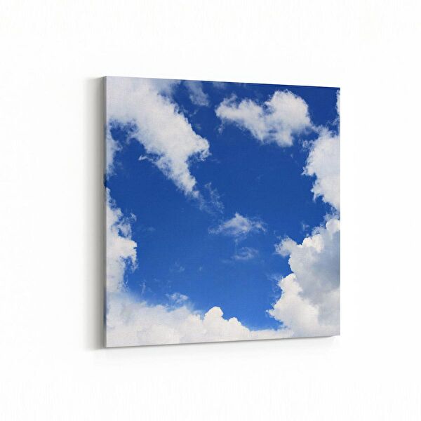 olla.market Kanvas Tablo