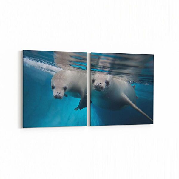 olla.market Kanvas Tablo