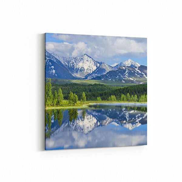 olla.market Kanvas Tablo