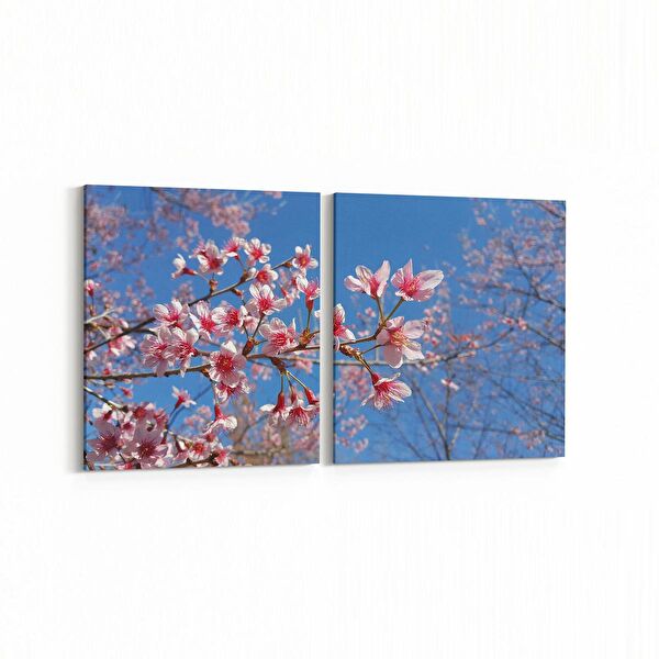 olla.market Kanvas Tablo