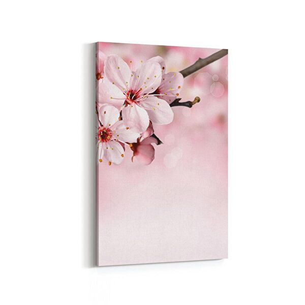 olla.market Kanvas Tablo