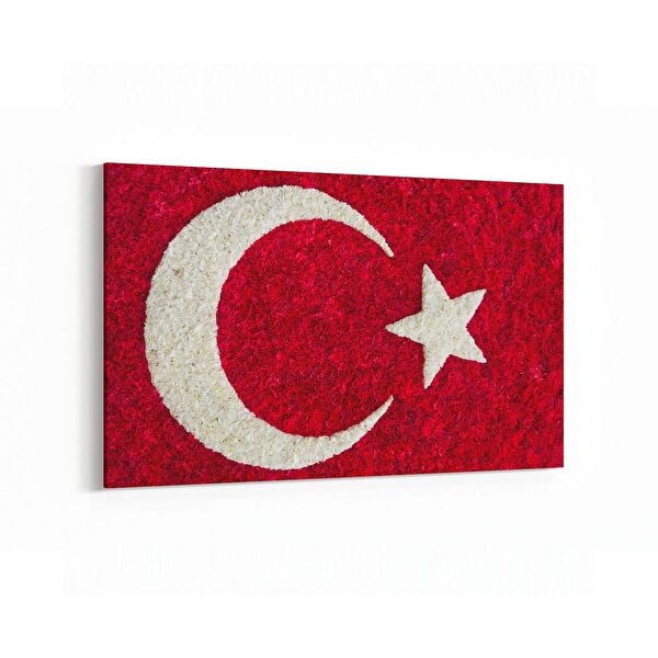 olla.market Kanvas Tablo