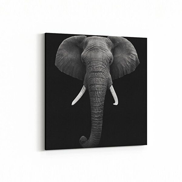 olla.market Kanvas Tablo