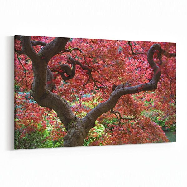 olla.market Kanvas Tablo