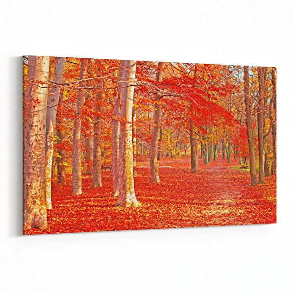 olla.market Kanvas Tablo