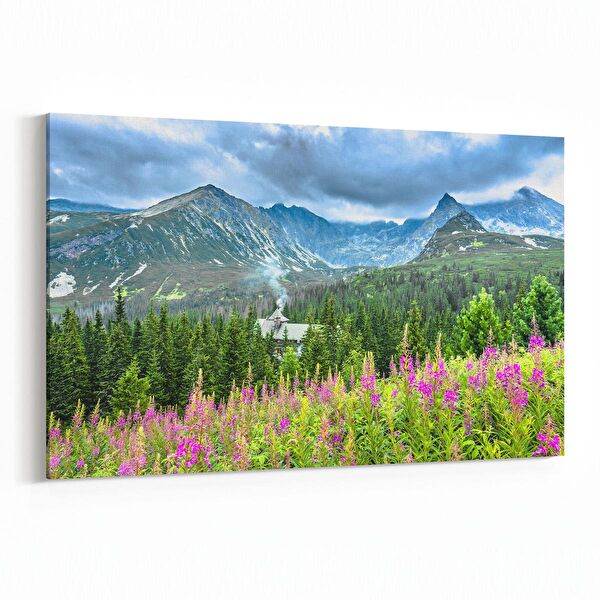 olla.market Kanvas Tablo