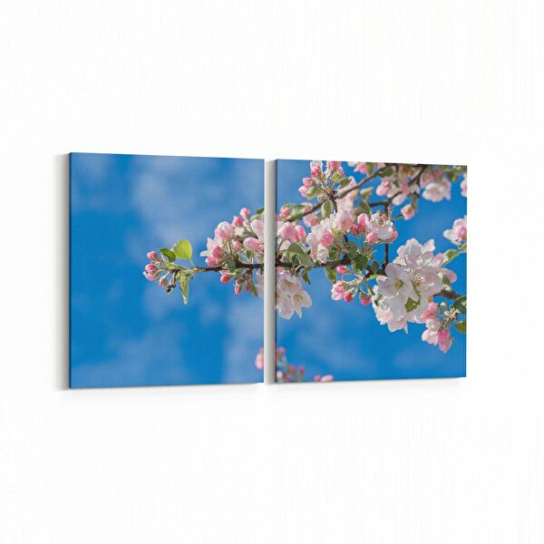 olla.market Kanvas Tablo